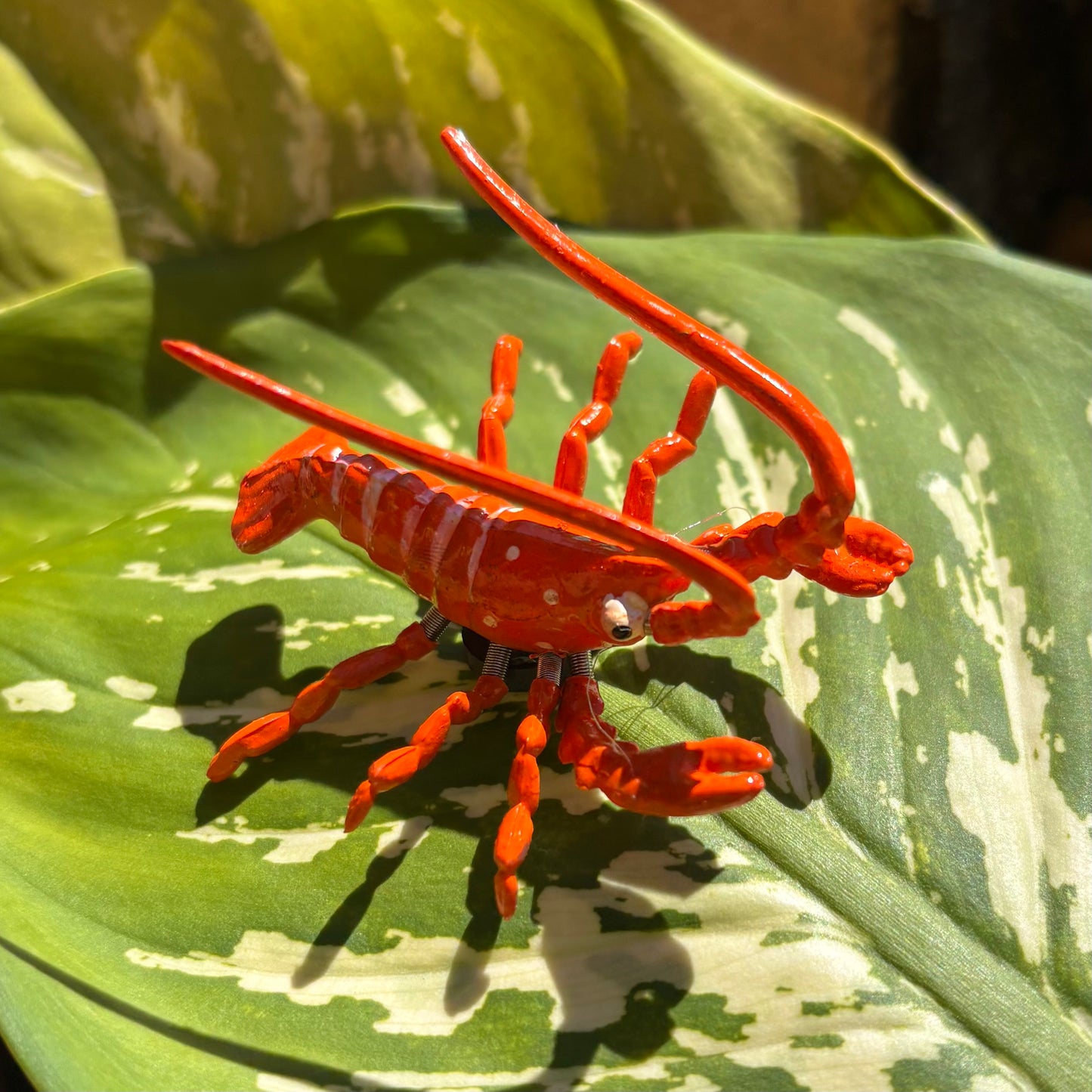 Moving Lobster Magnet