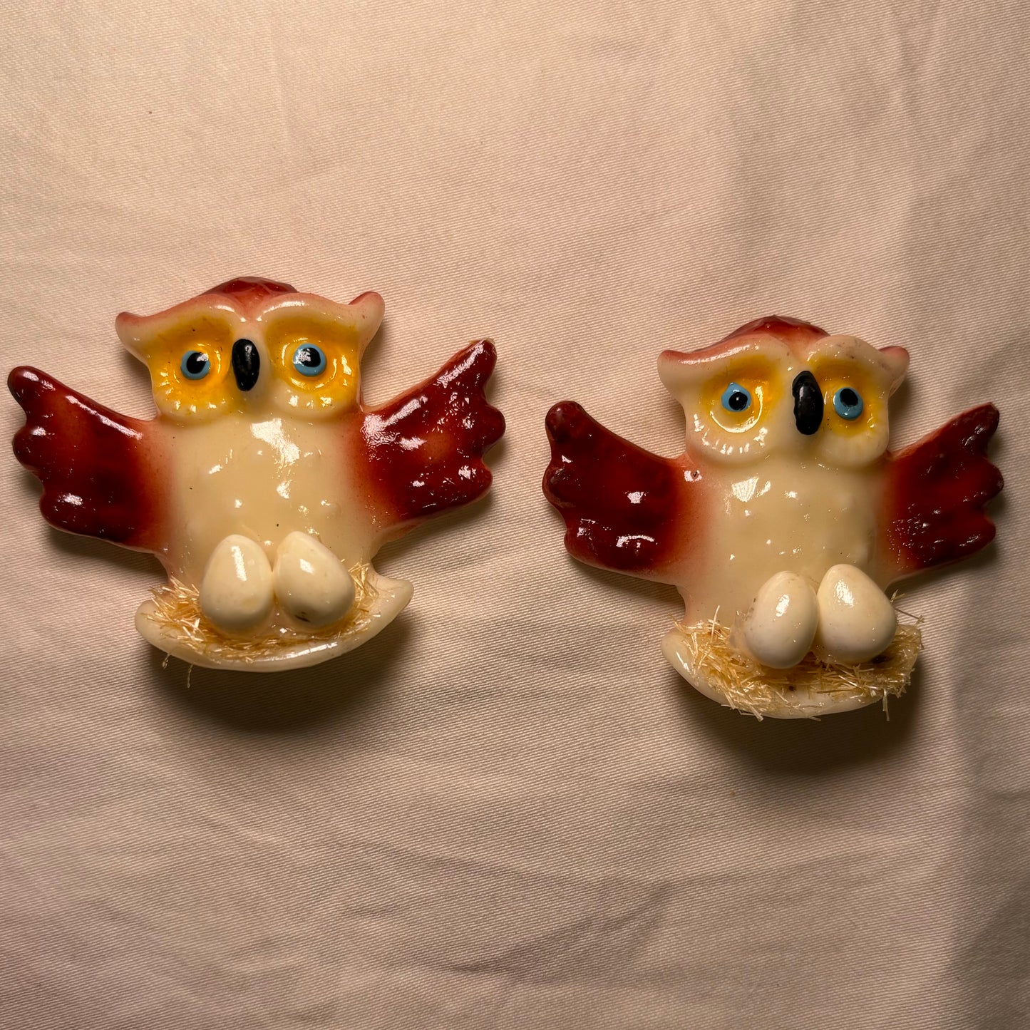 Owl with Eggs Magnet