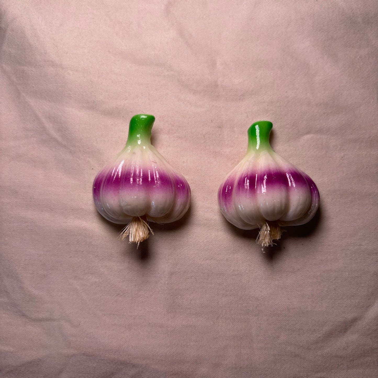 Garlic Magnet