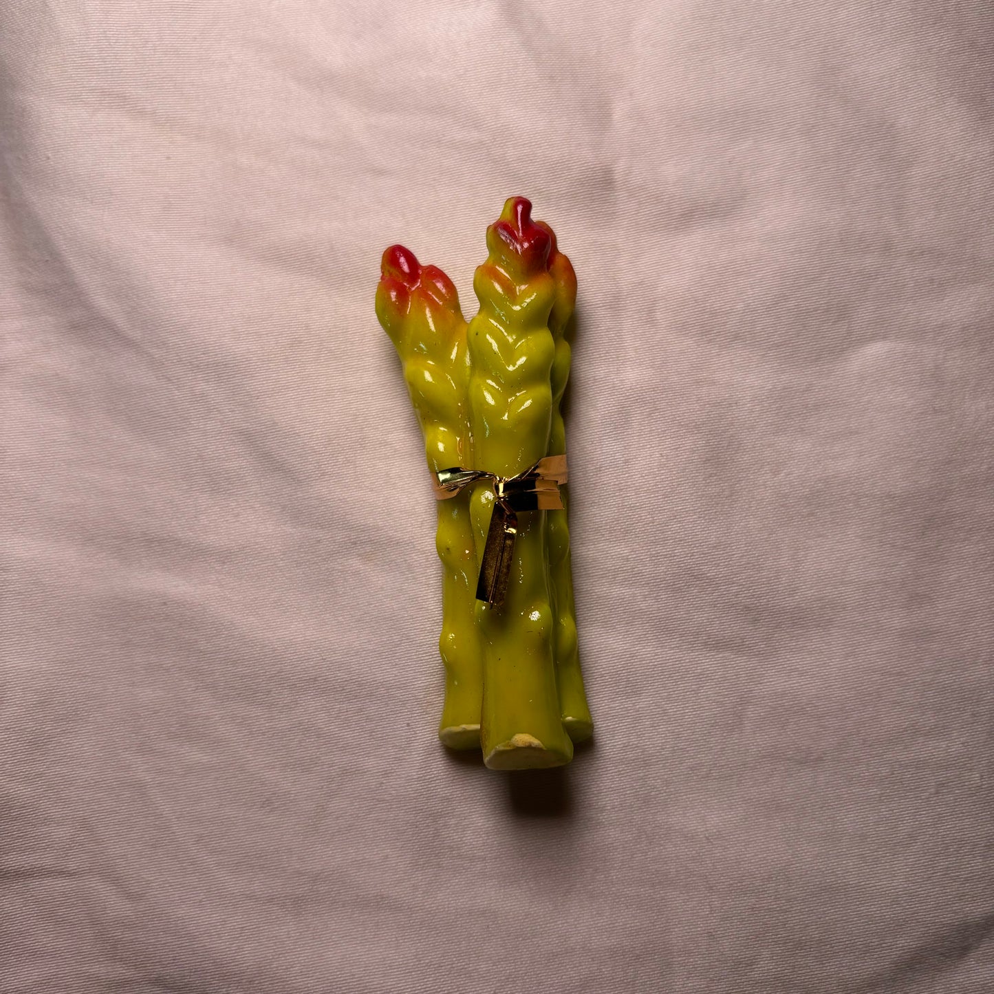 Asparagus Magnet
