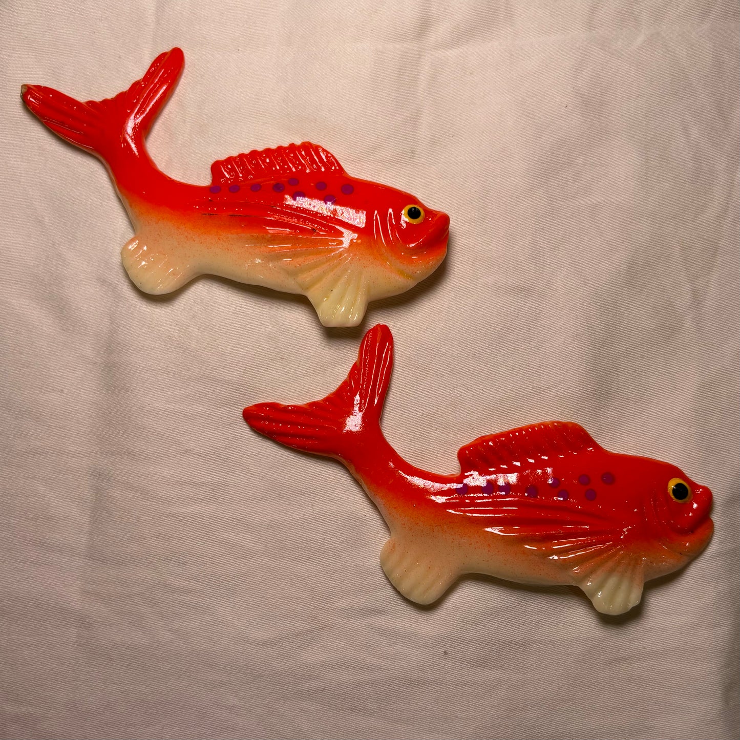 Salmon Magnet