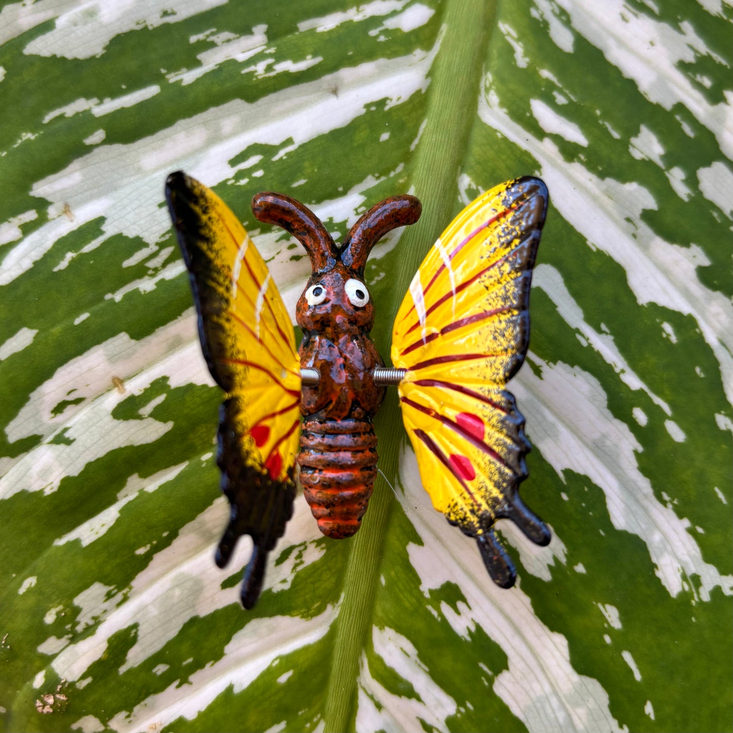 Moving Butterfly Magnet