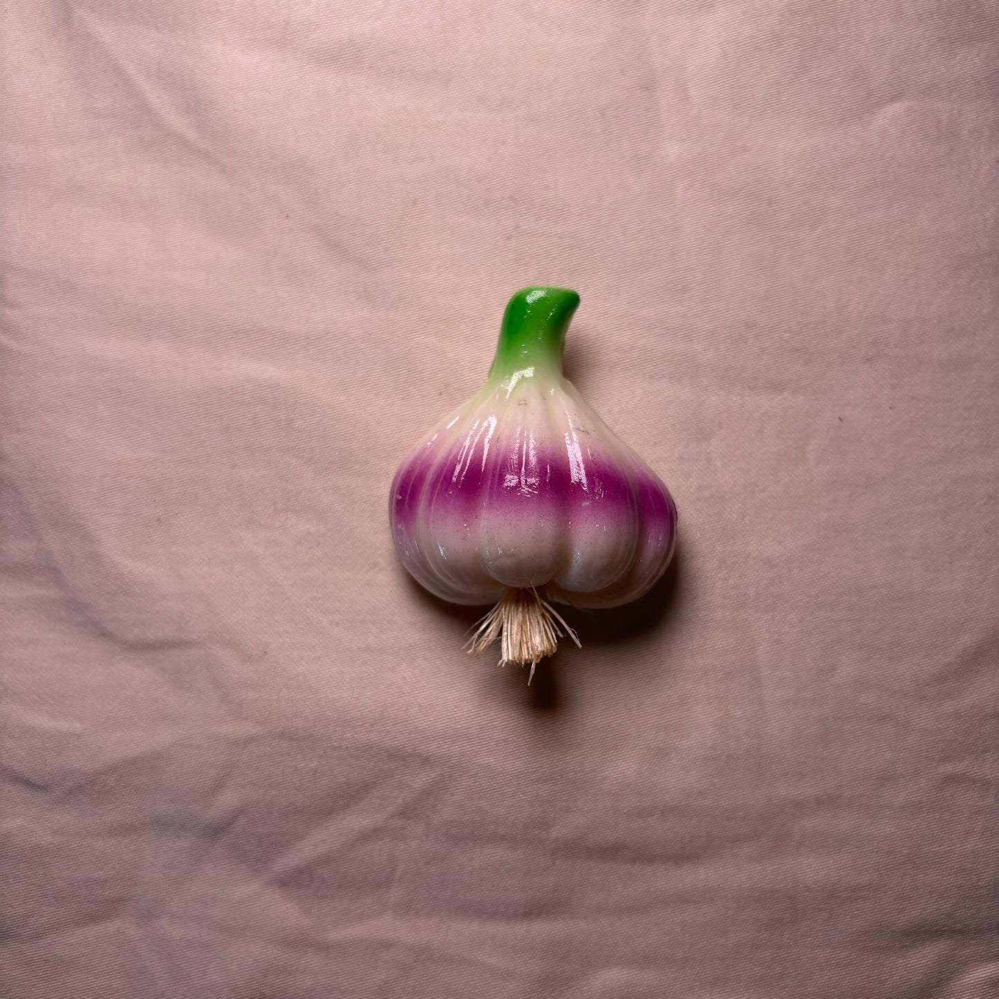 Garlic Magnet