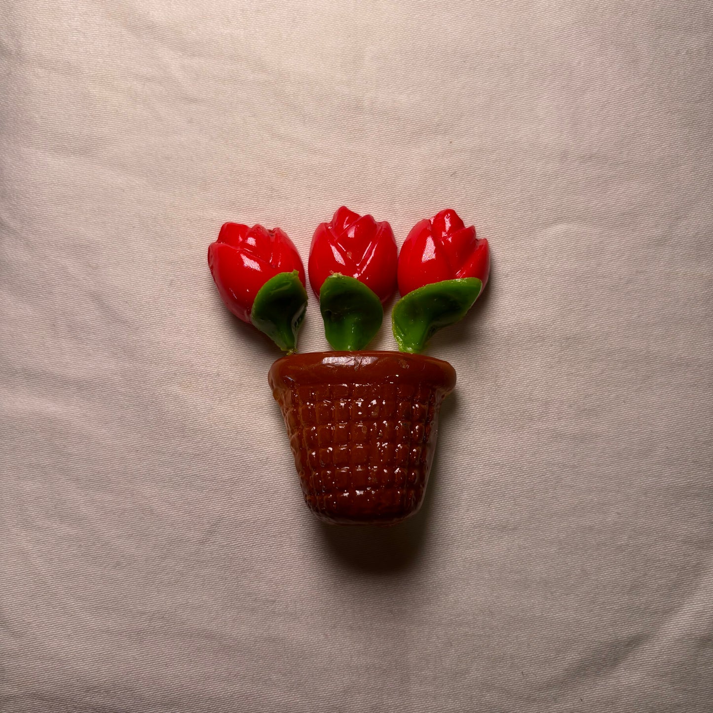 Roses in Pot Magnet