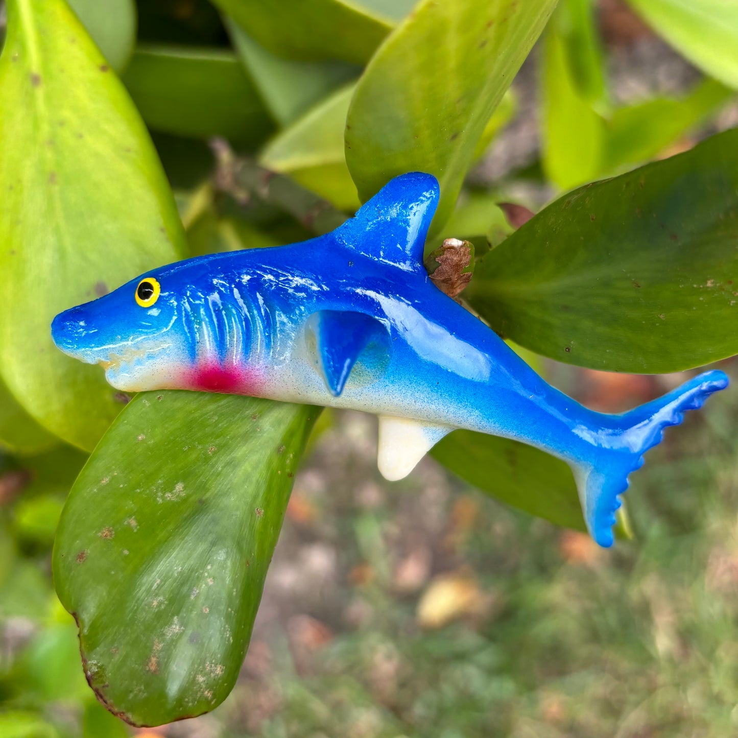 Blue Shark Magnet