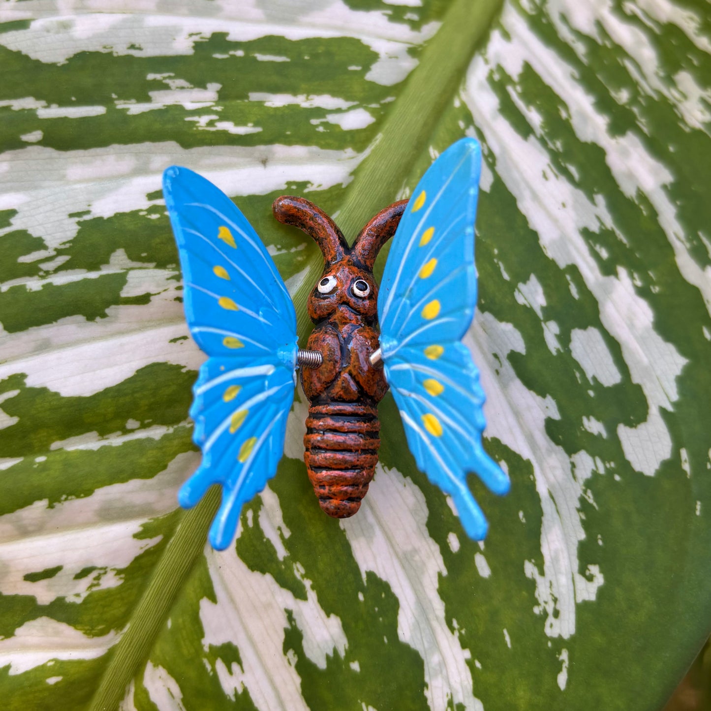 Moving Butterfly Magnet