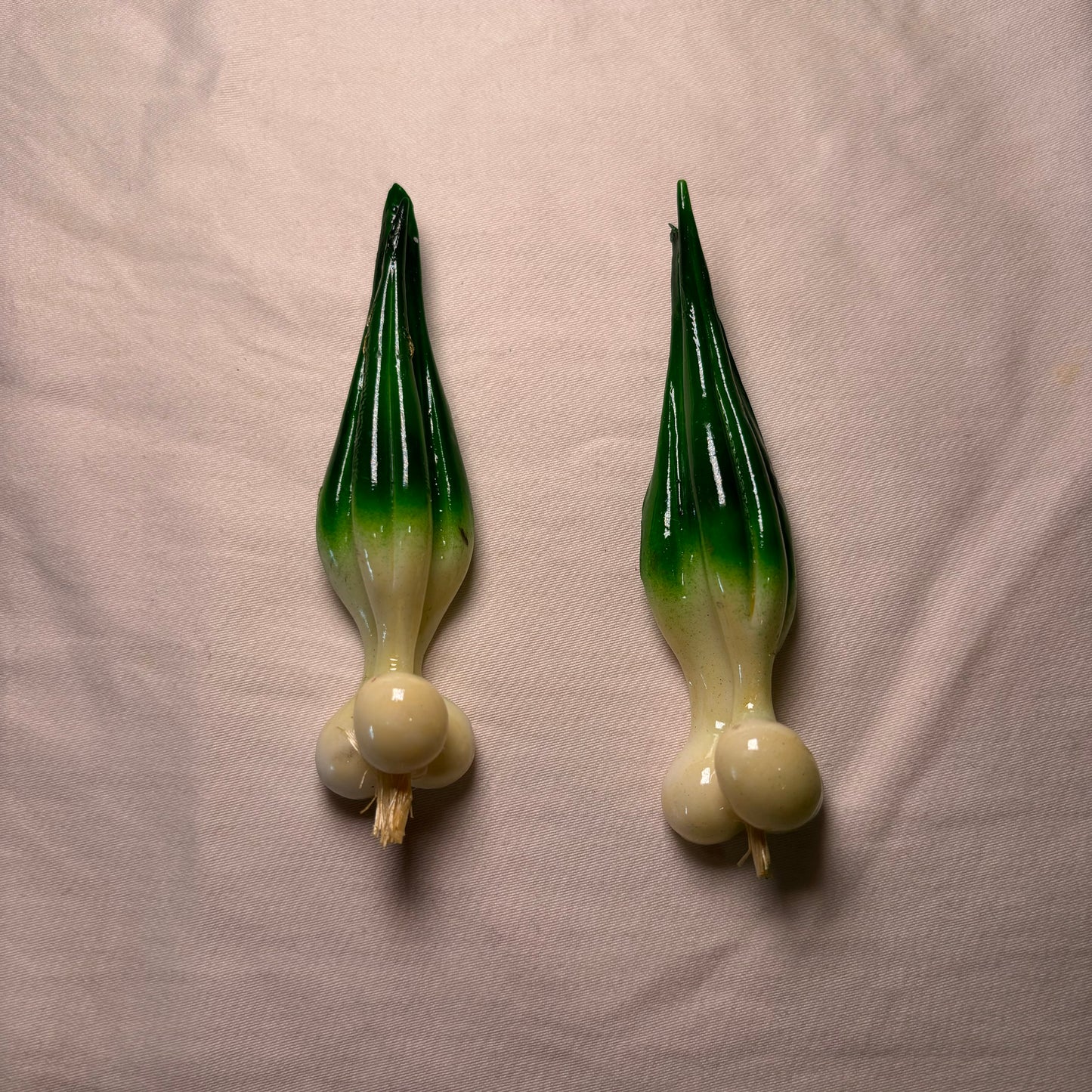 Scallions Magnet