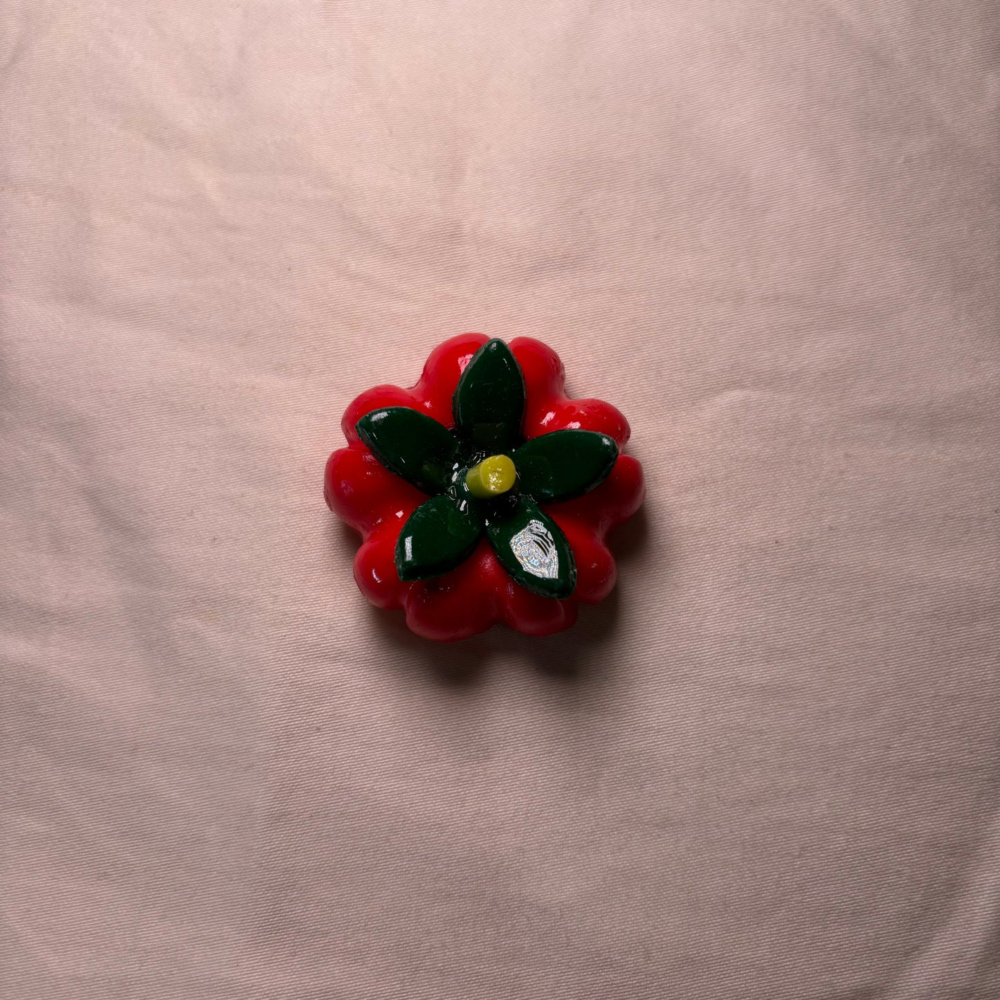 Tomato Magnet