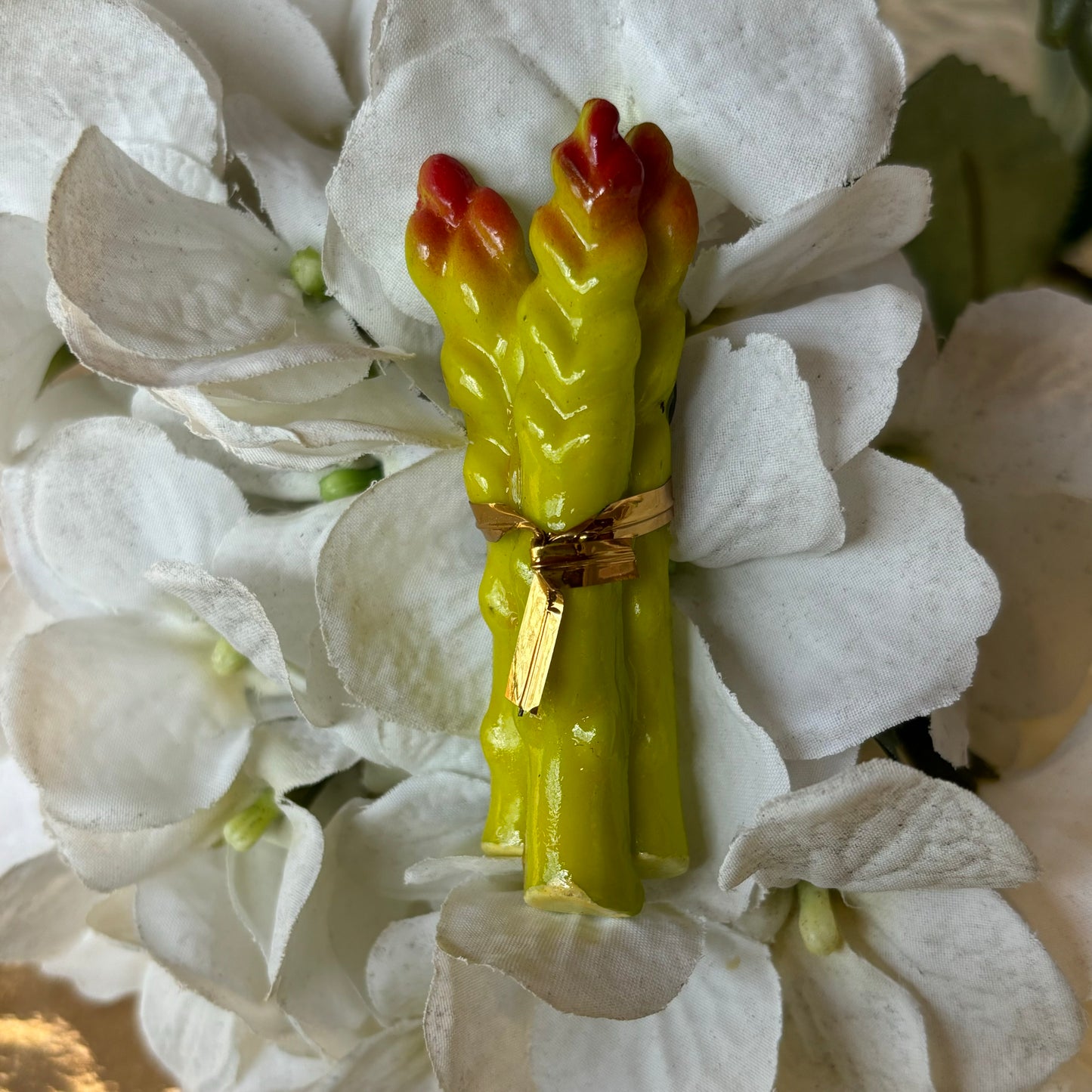 Asparagus Magnet