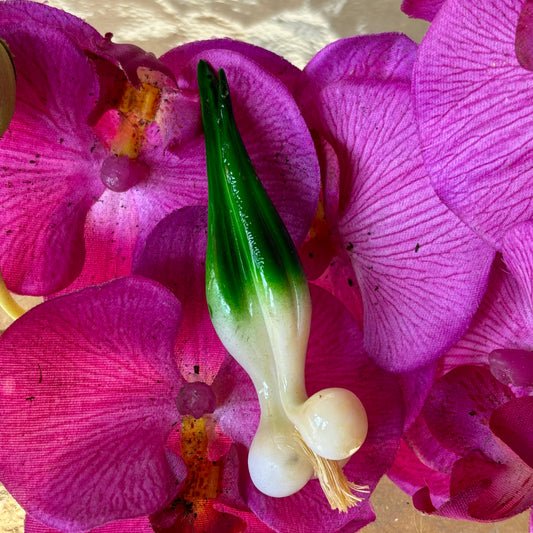 Scallions Magnet