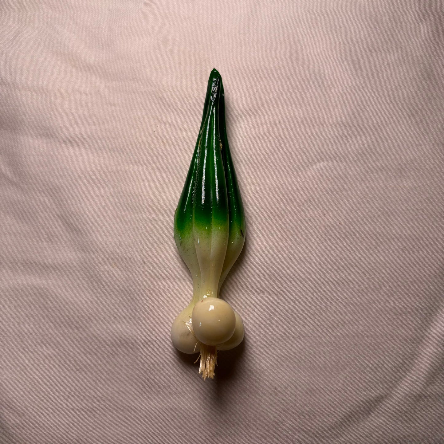 Scallions Magnet