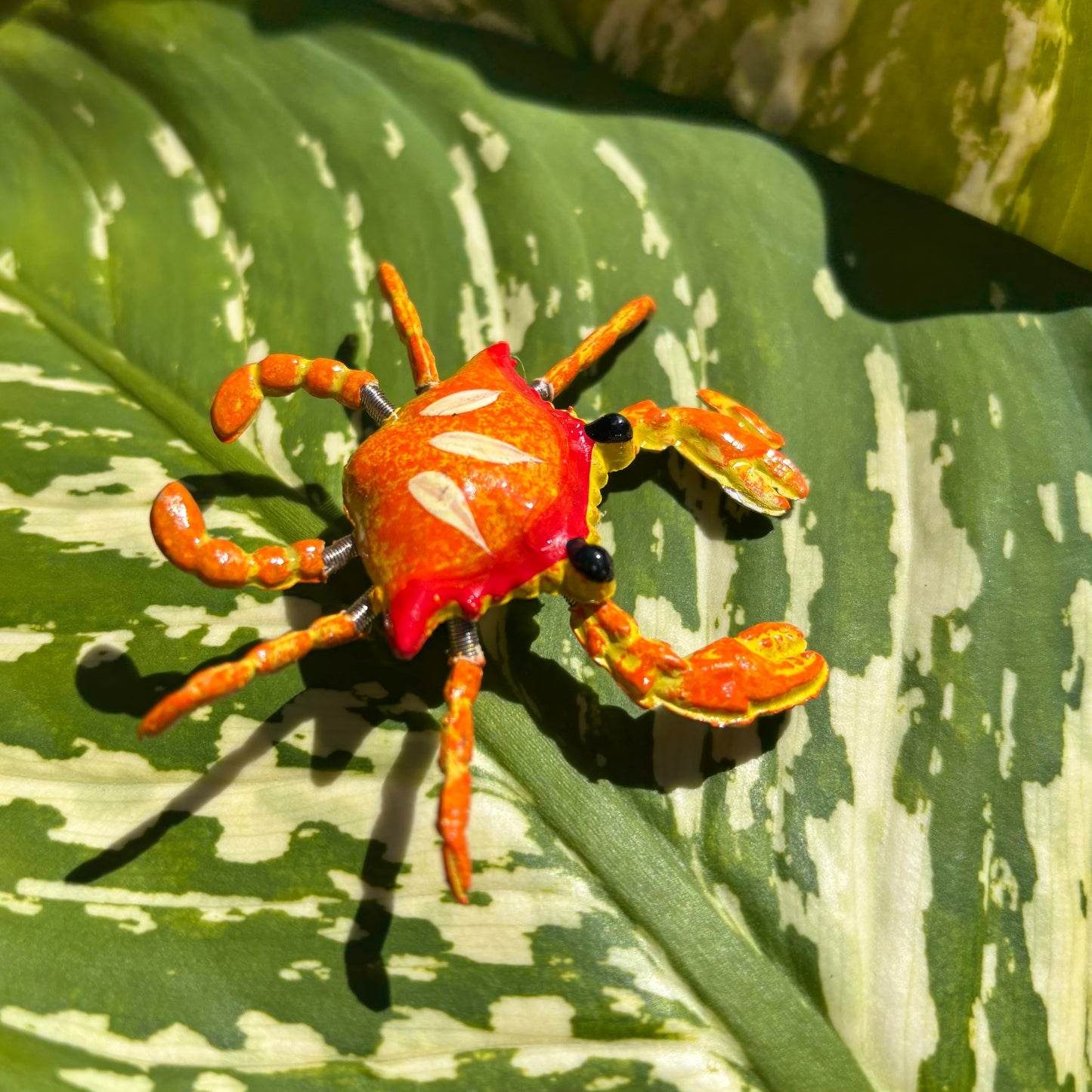 Moving Crab Magnet