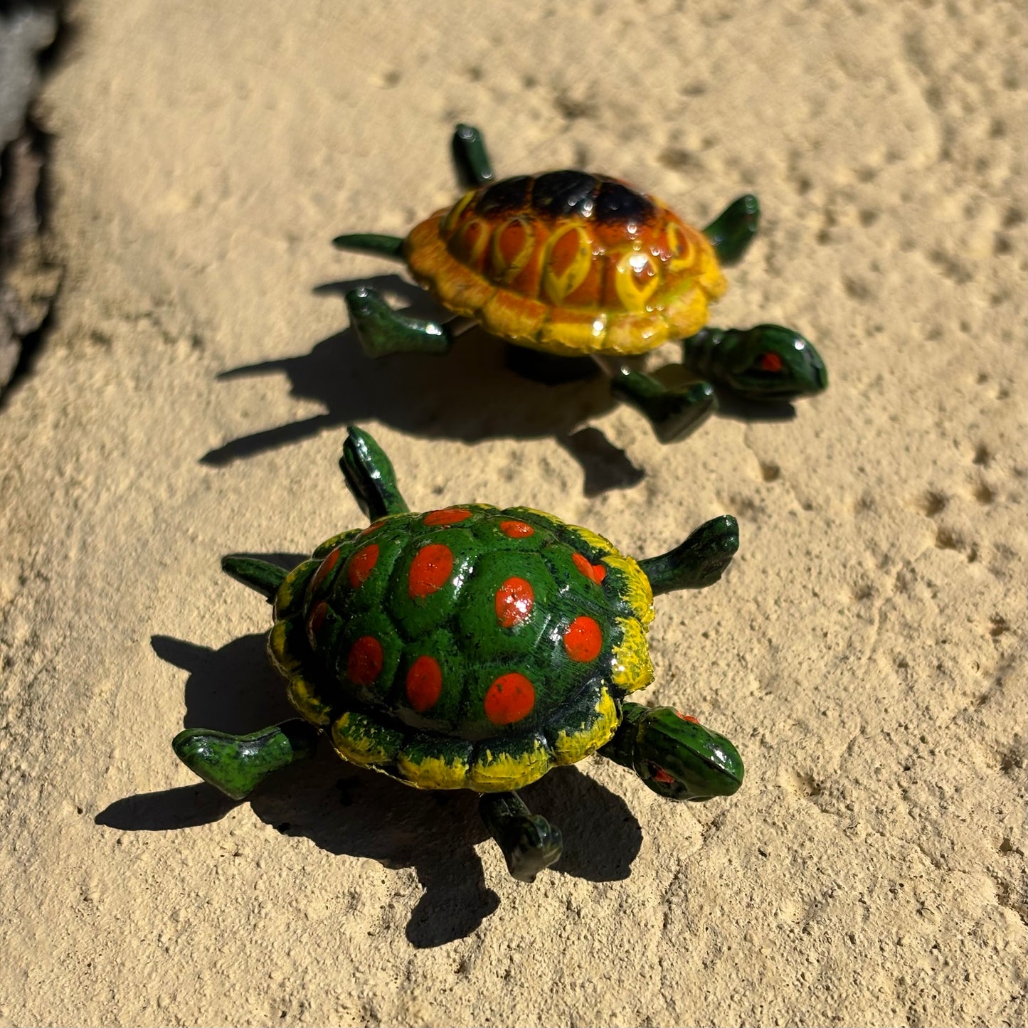 Moving Turtle Magnet