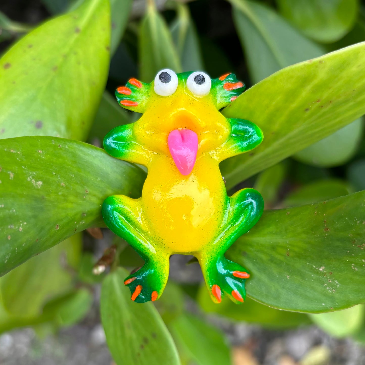 Frog Magnet