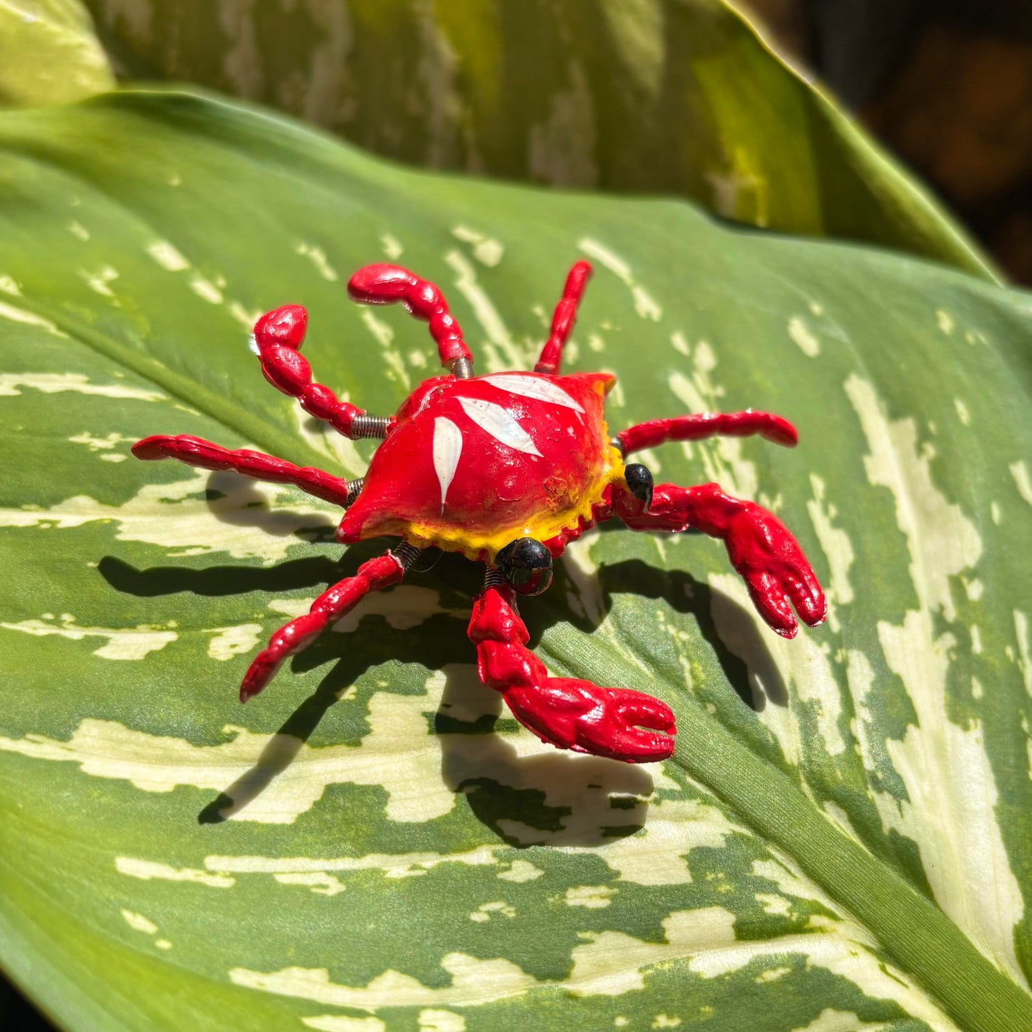 Moving Crab Magnet