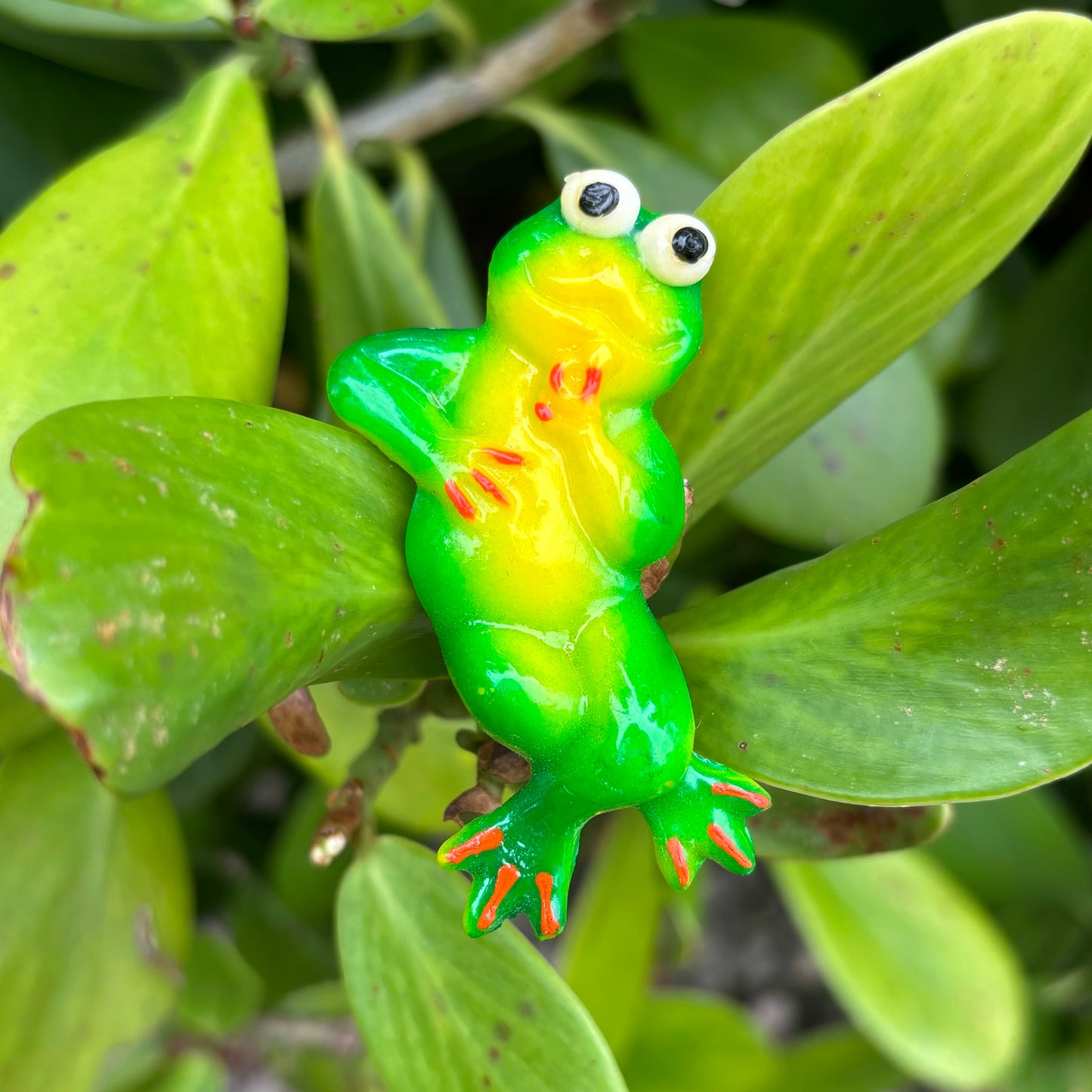 Frog Magnet