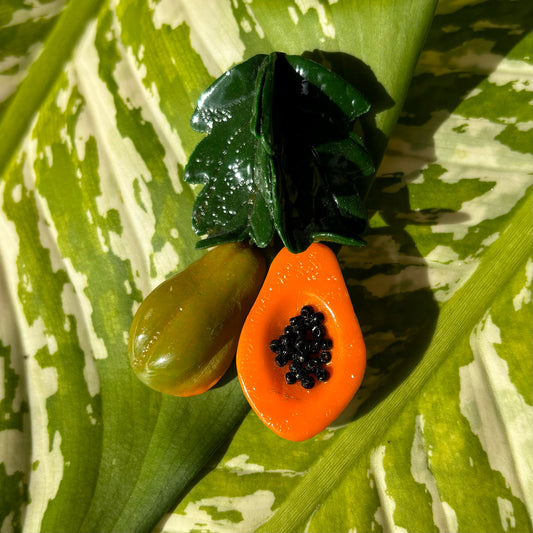 Hanging Papayas Magnet