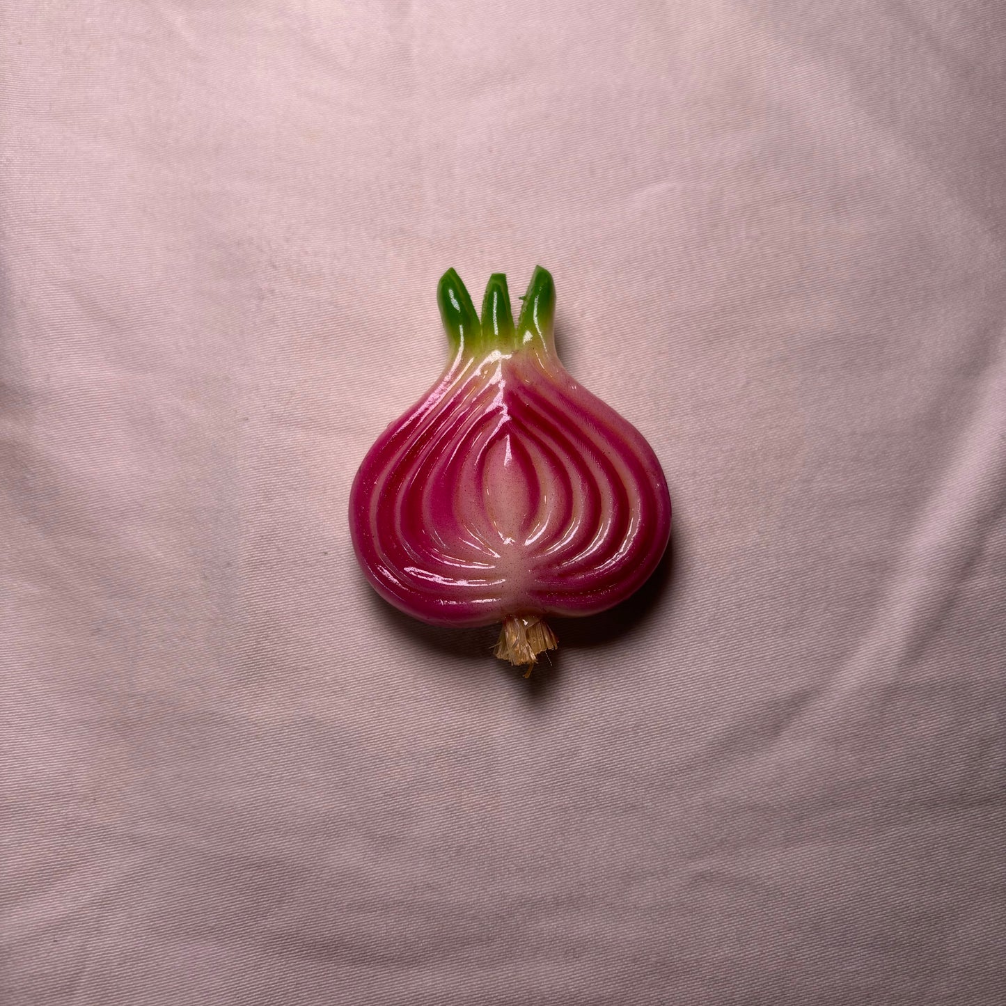 Slice of Onion Magnet