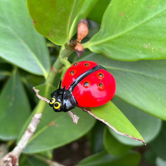 Ladybug Magnet
