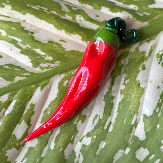 Red Chili Magnet