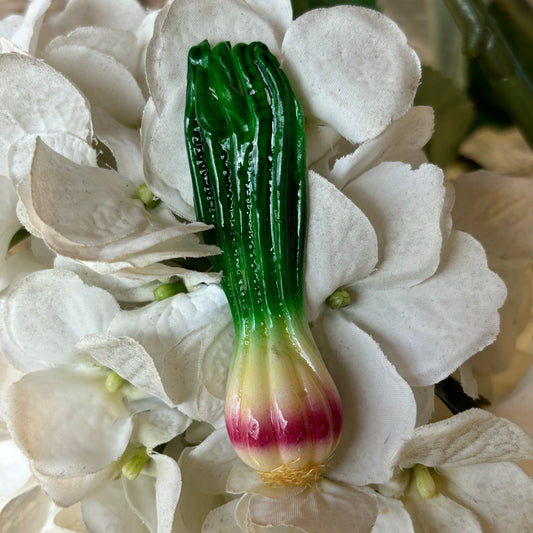 Long Red Onion Magnet