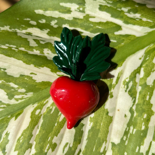 Solo Radish Magnet