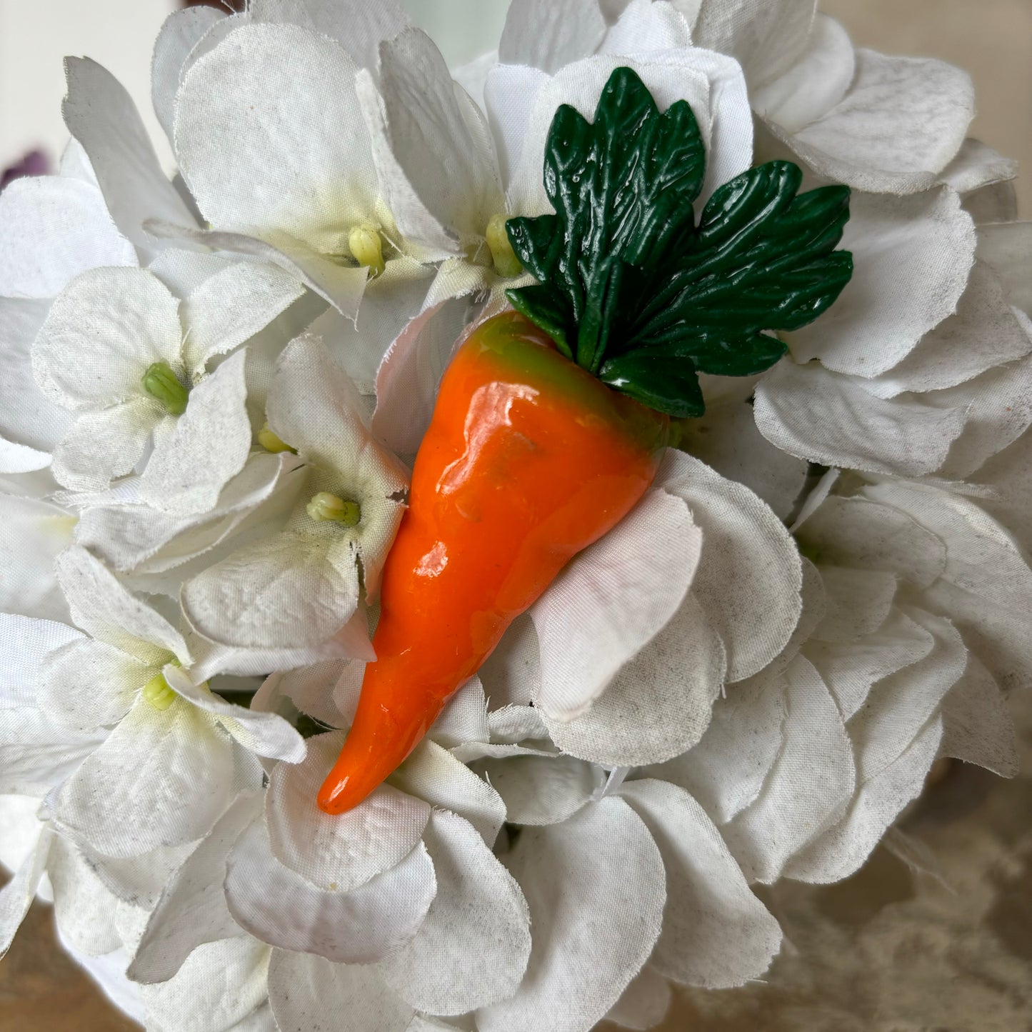 Carrot Magnet