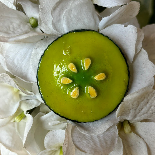 Slice of Cucumber Magnet