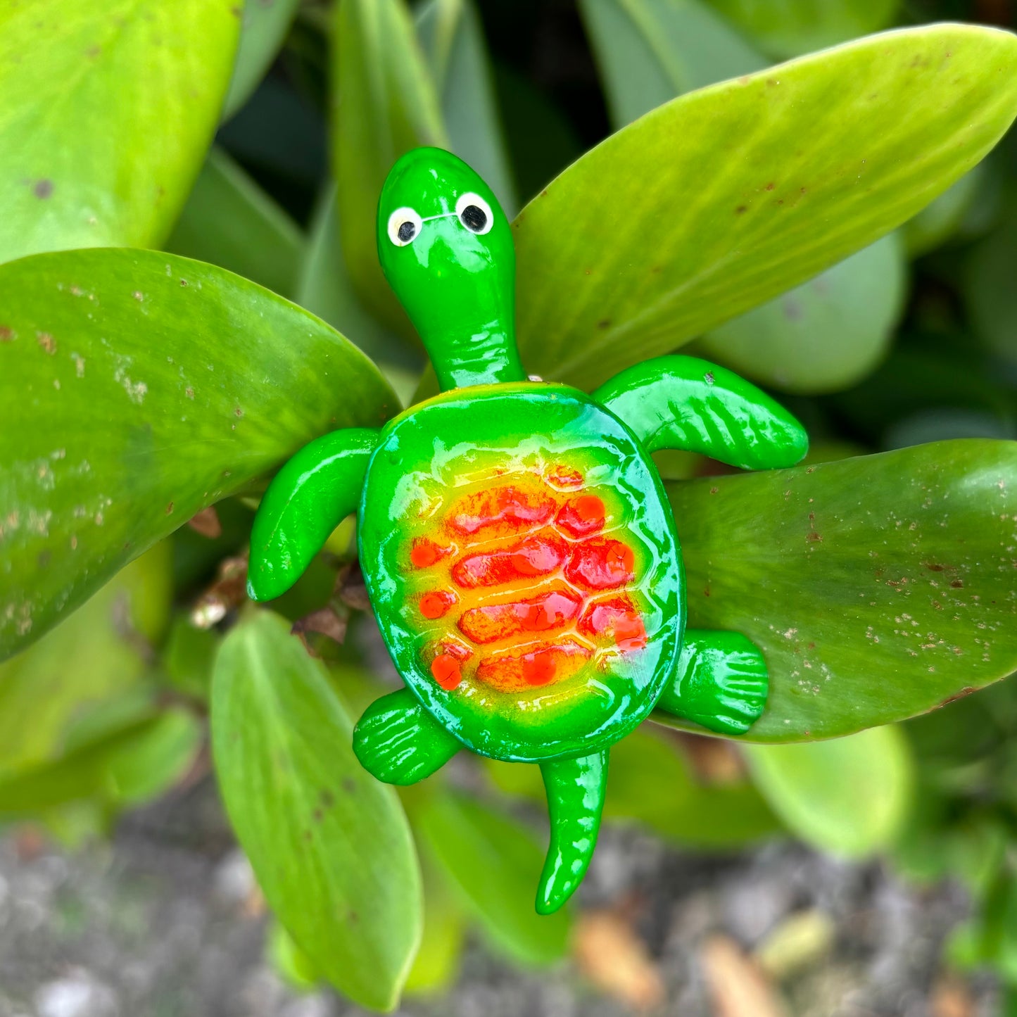 Sea Turtle Magnet