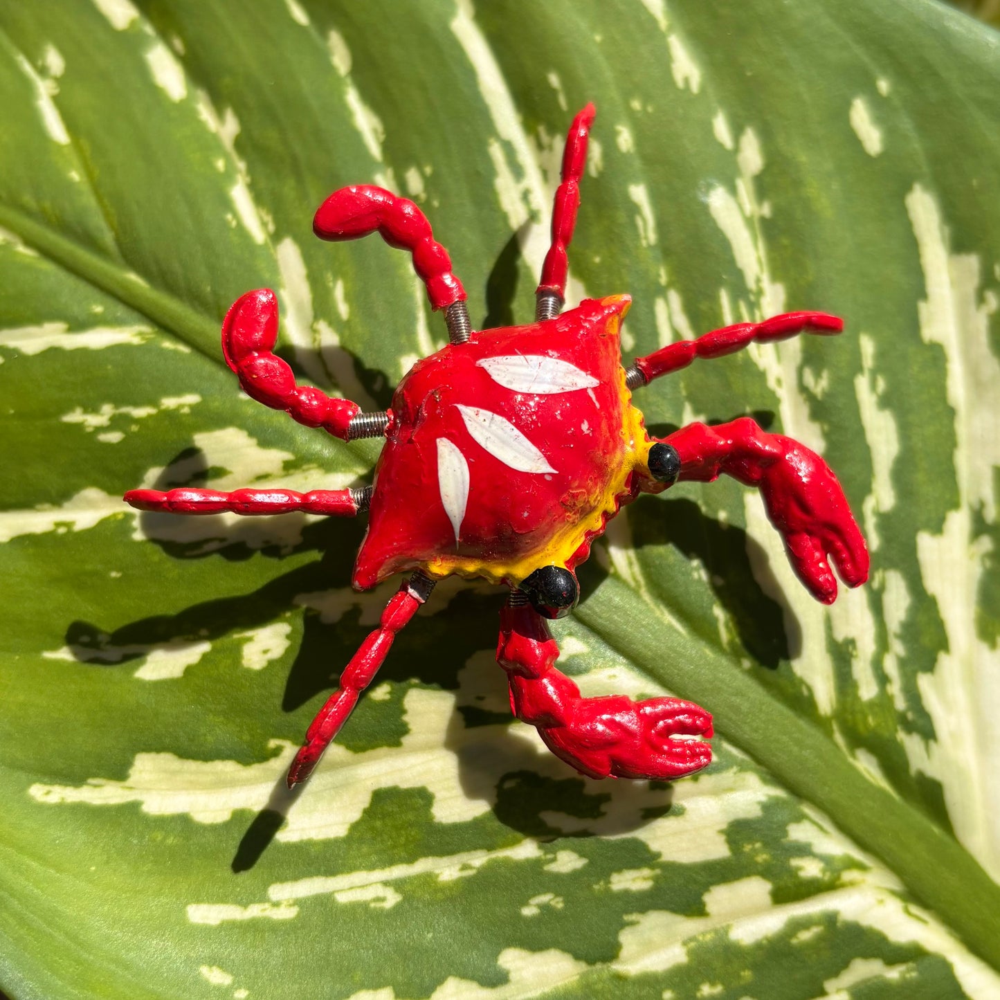 Moving Crab Magnet