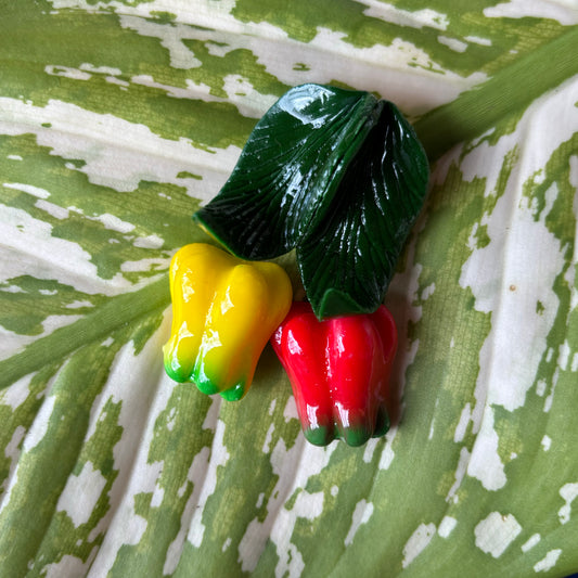 Hanging Bell Peppers Magnet