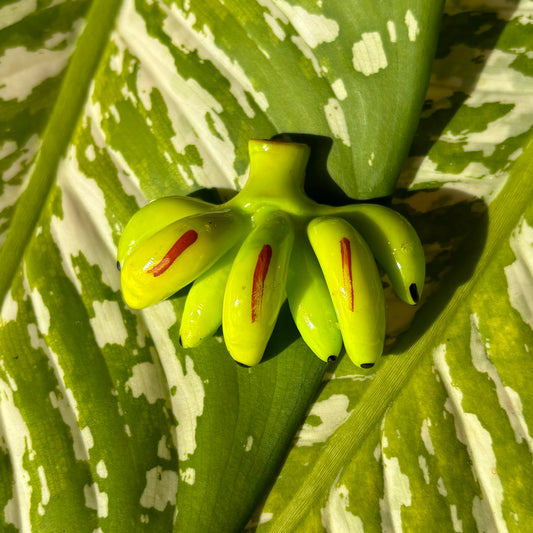 Green Bunched Bananas Magnet