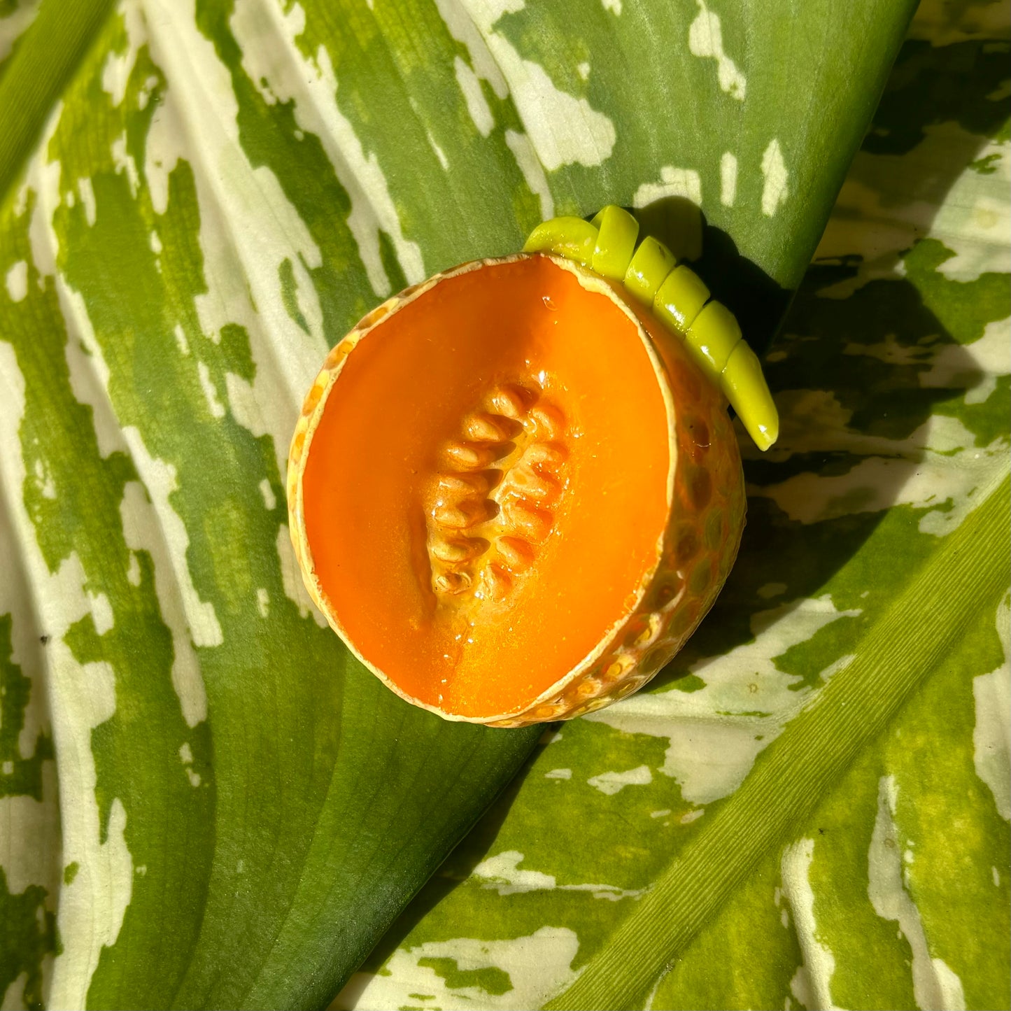 Cantaloupe Magnet