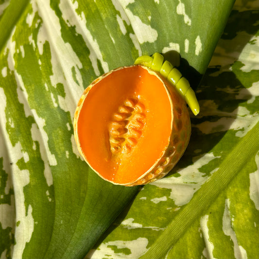 Cantaloupe Magnet