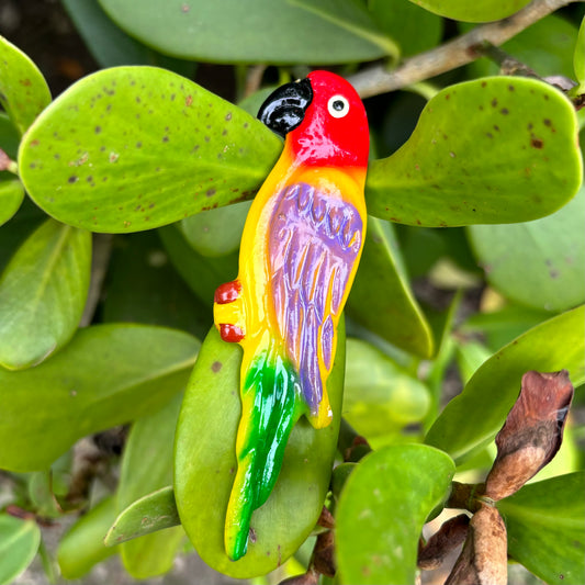 Parrot Magnet