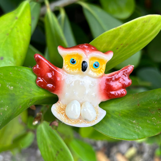 Owl with Eggs Magnet