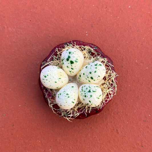 Quail Eggs Magnet