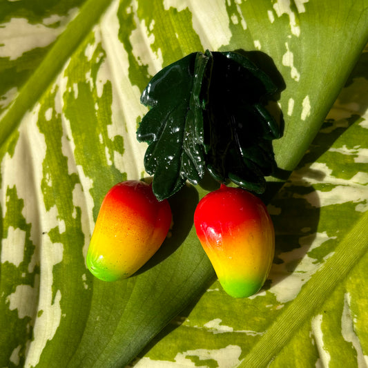 Hanging Mangoes Magnet