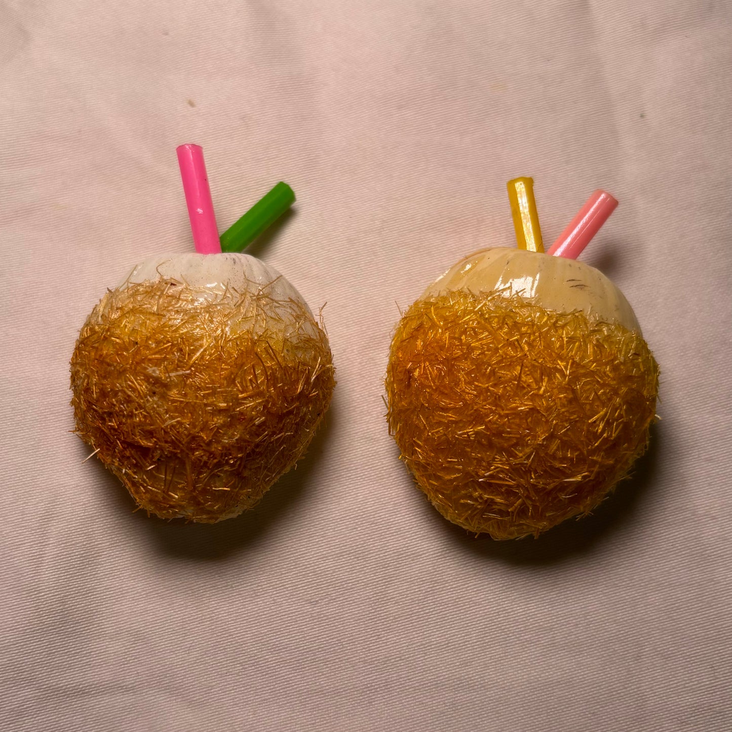 Coconut Magnet