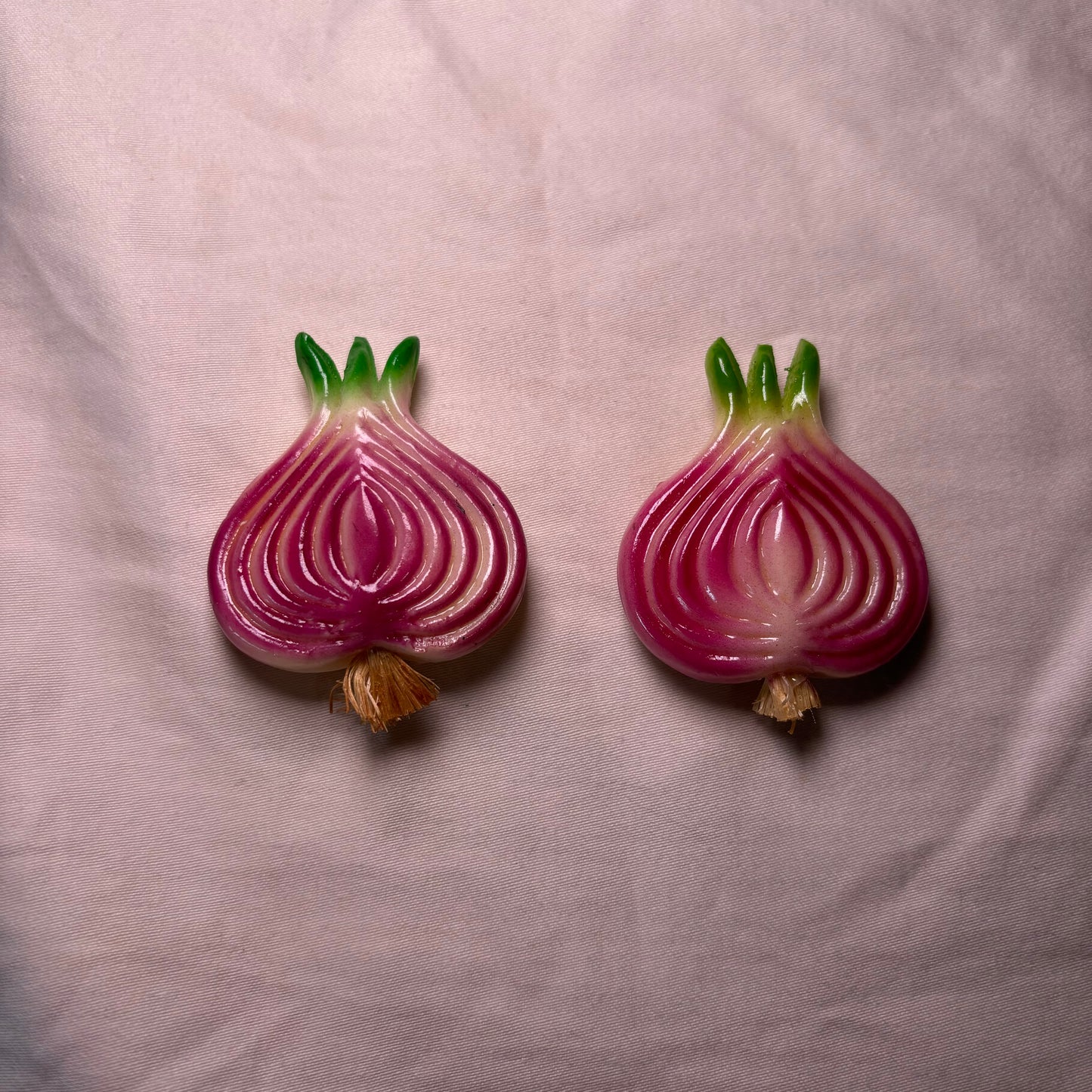Slice of Onion Magnet