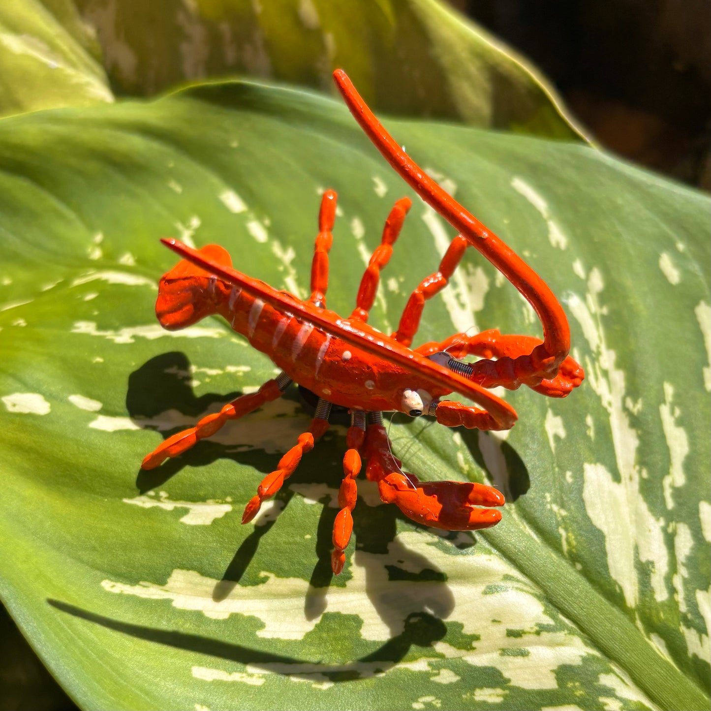 Moving Lobster Magnet