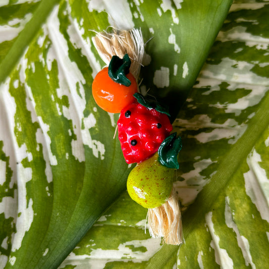 Fruits On Rope Magnet