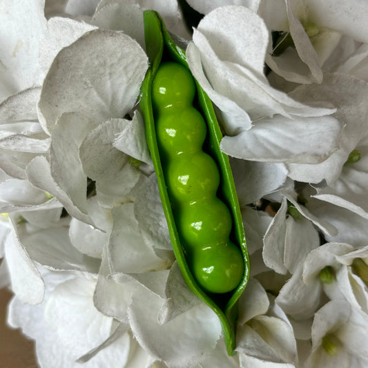Peas Magnet