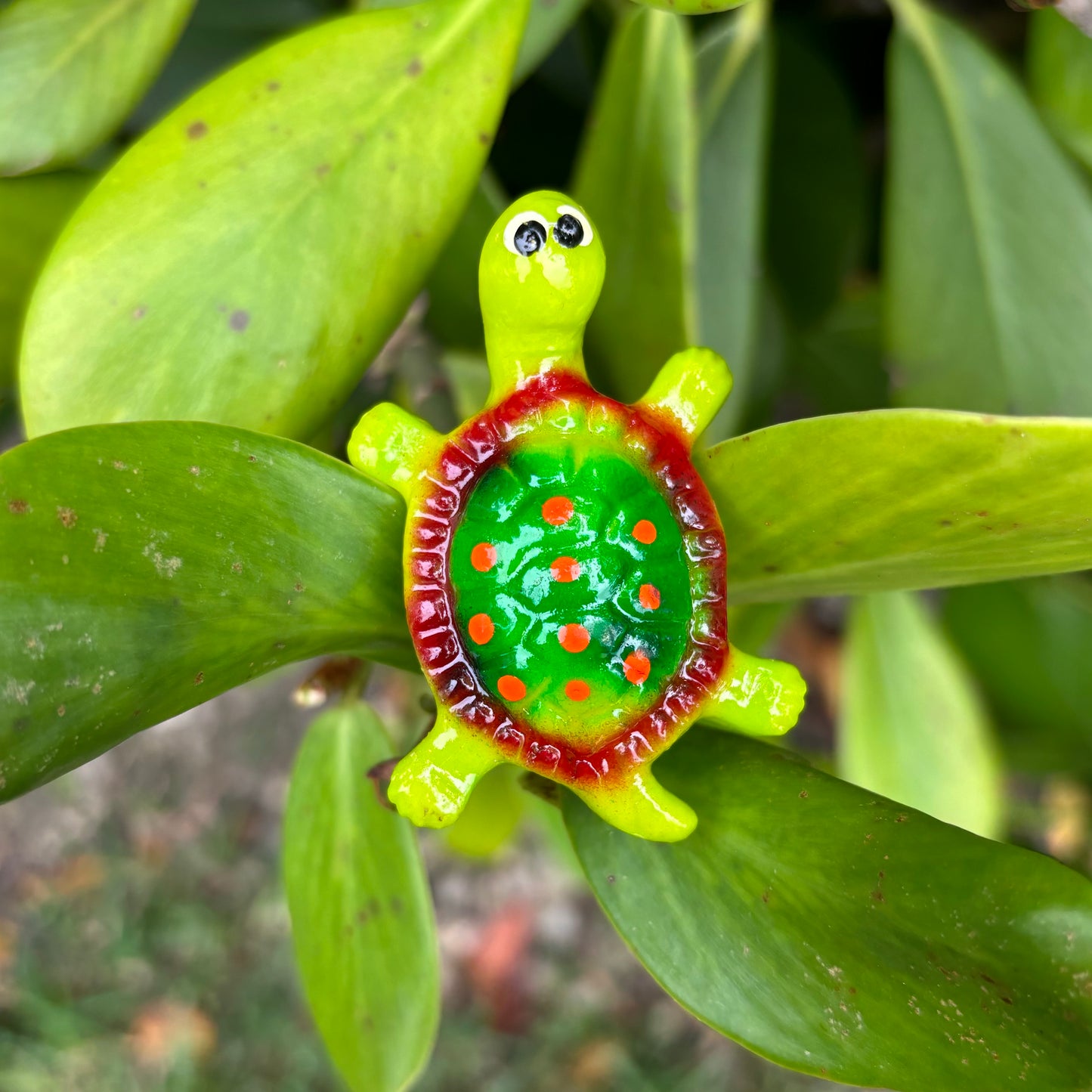 Land Turtle Magnet