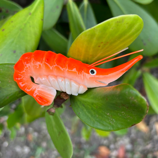 Shrimp Magnet