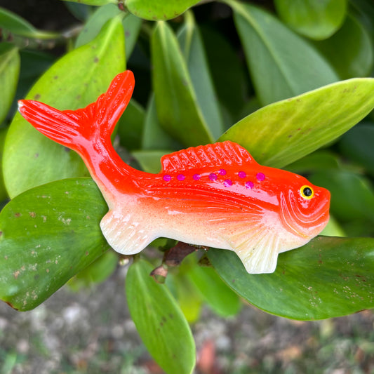 Salmon Magnet