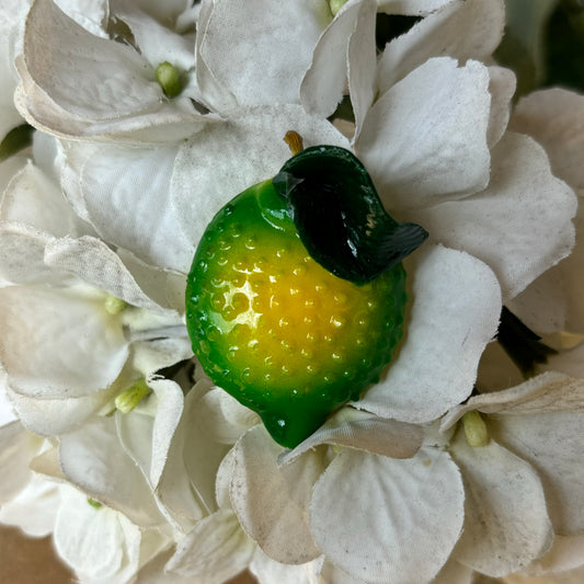 Lemon Magnet