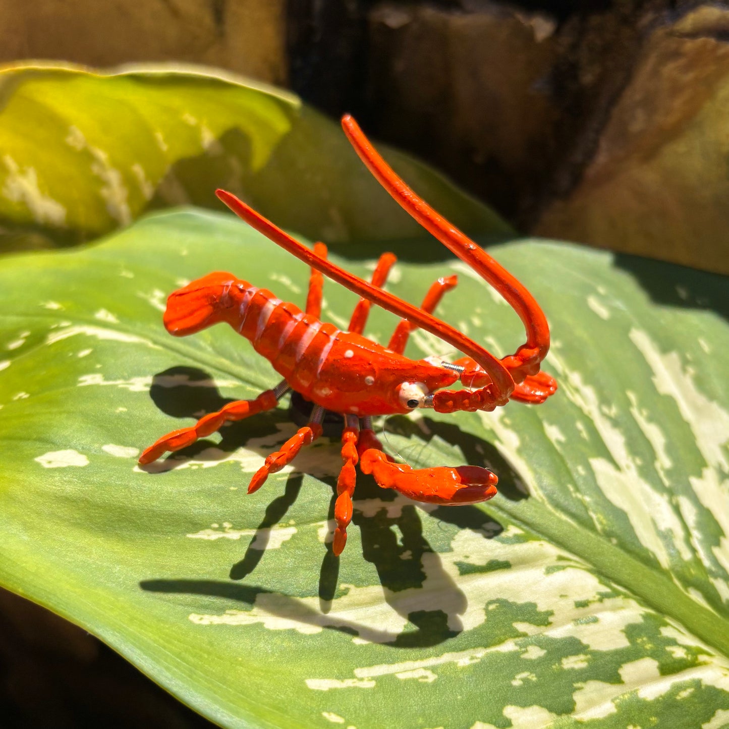Moving Lobster Magnet