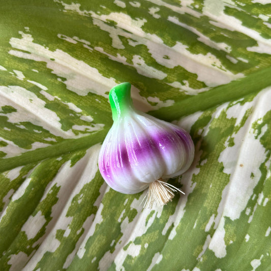 Garlic Magnet