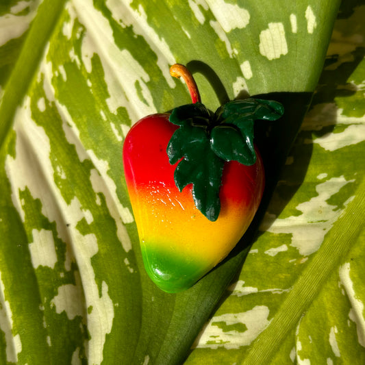 Mango Magnet